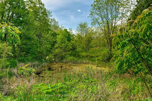 Additional image 32 of 5086 Walkers Line