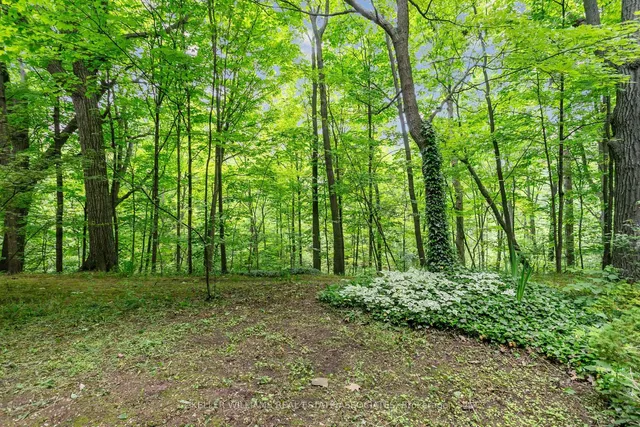 Additional image 39 of 1250 Marlborough Crt Unit 23