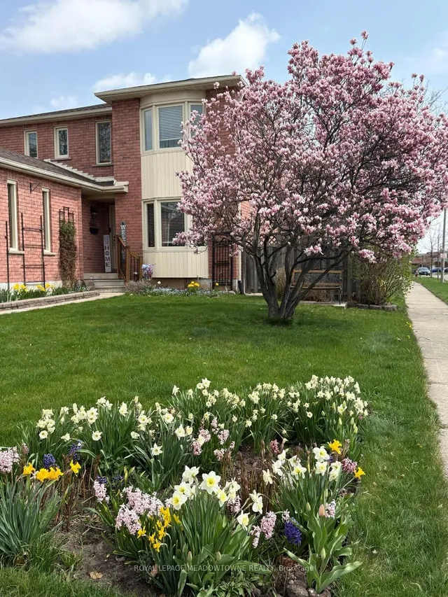 Additional image 4 of 262 Murray St