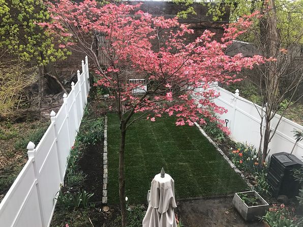20 Clarkson Ave, Brooklyn, NY 11226