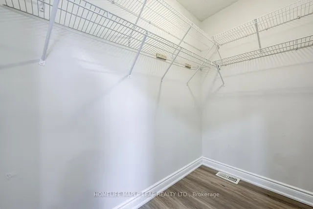 Additional image 23 of 58 Begonia Cres