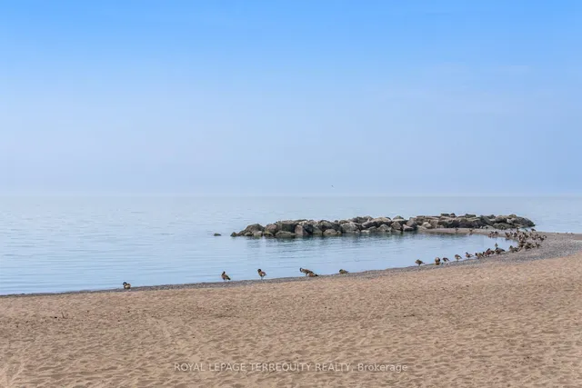 Additional image 43 of 17 Maclean Ave