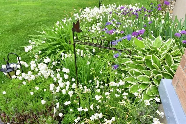 Additional image 2 of 21 Guest St