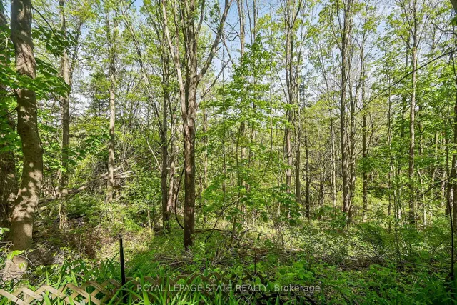 Additional image 43 of 559 Westview Ave