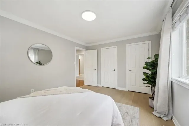 Additional image 23 of 3 Kestrel St