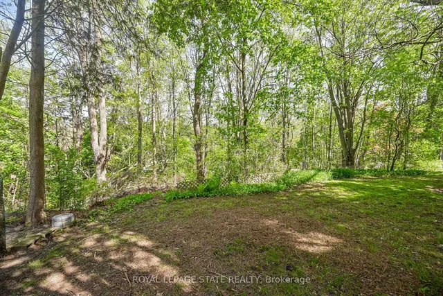 Additional image 42 of 559 Westview Ave