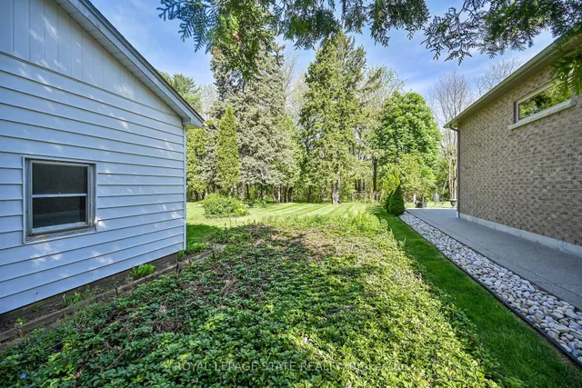 Additional image 35 of 559 Westview Ave