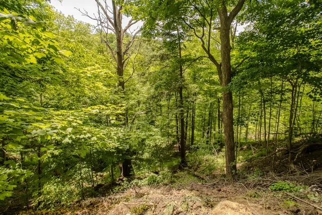 Additional image 19 of 75 Terrace Dr