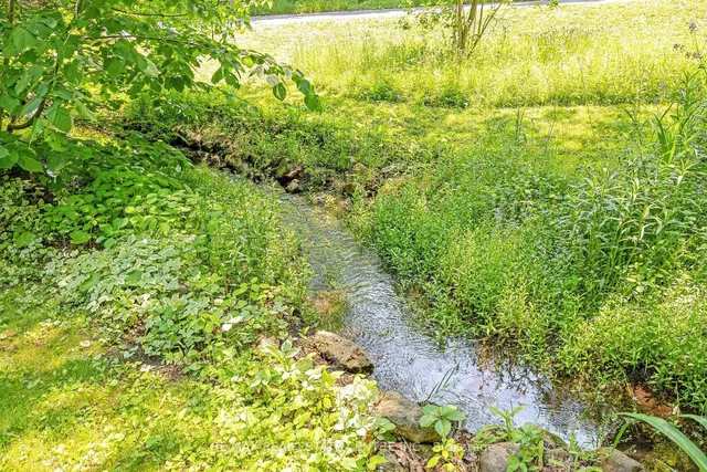 Additional image 39 of 209 Campbell Ave