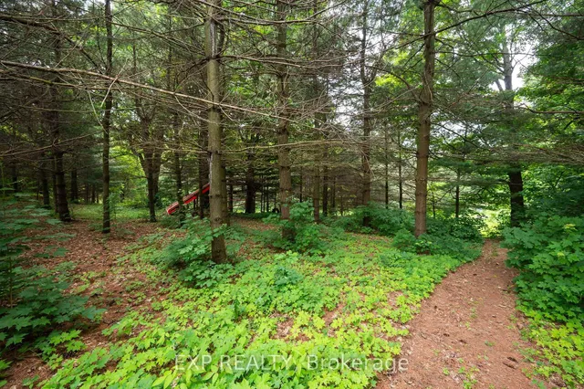 Additional image 35 of 7633 Appleby Line
