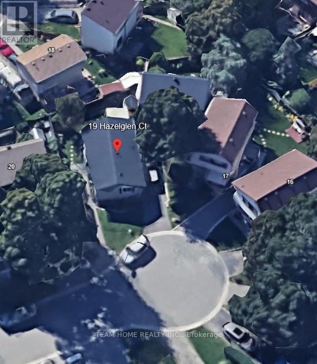 19 HAZELGLEN COURT|Brampton (Central Park), Ontario L6S1N7