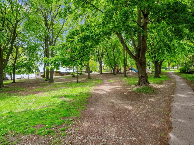 Additional image 43 of 58 Silver Birch Ave