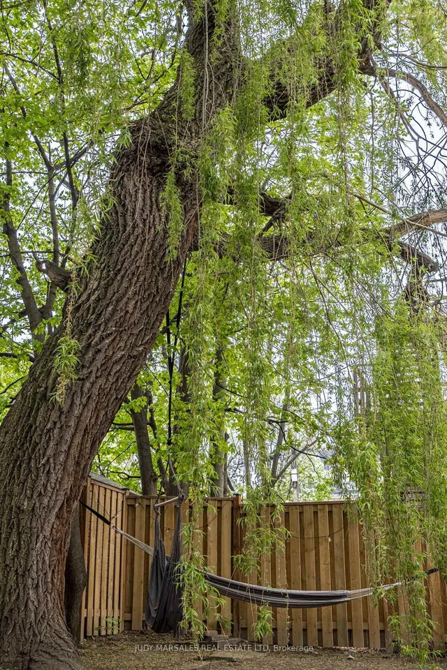 Additional image 49 of 177 Charlton Ave