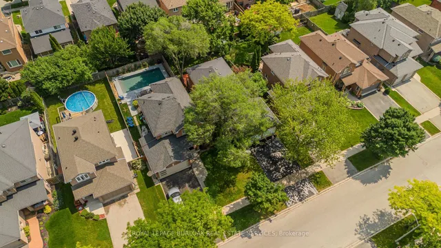 Additional image 35 of 561 Phoebe Cres