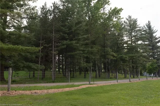 Additional image 30 of 127 Sims Estate Dr