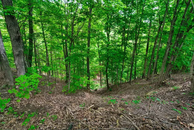 Additional image 30 of 1521 Norwood Ave