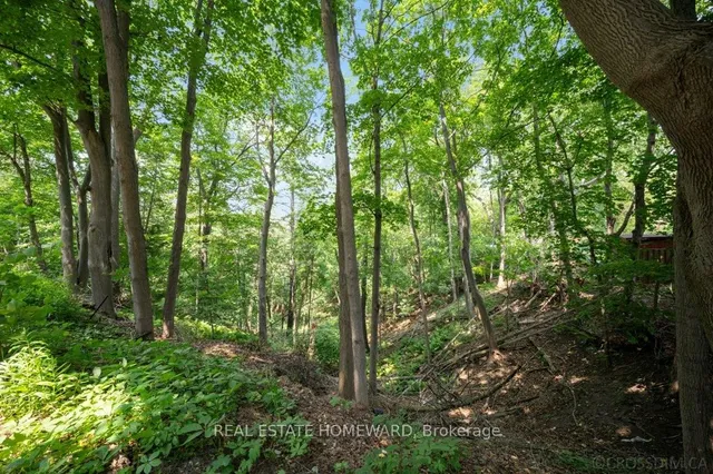 Additional image 39 of 50 Old Kingston Rd Unit 5-603