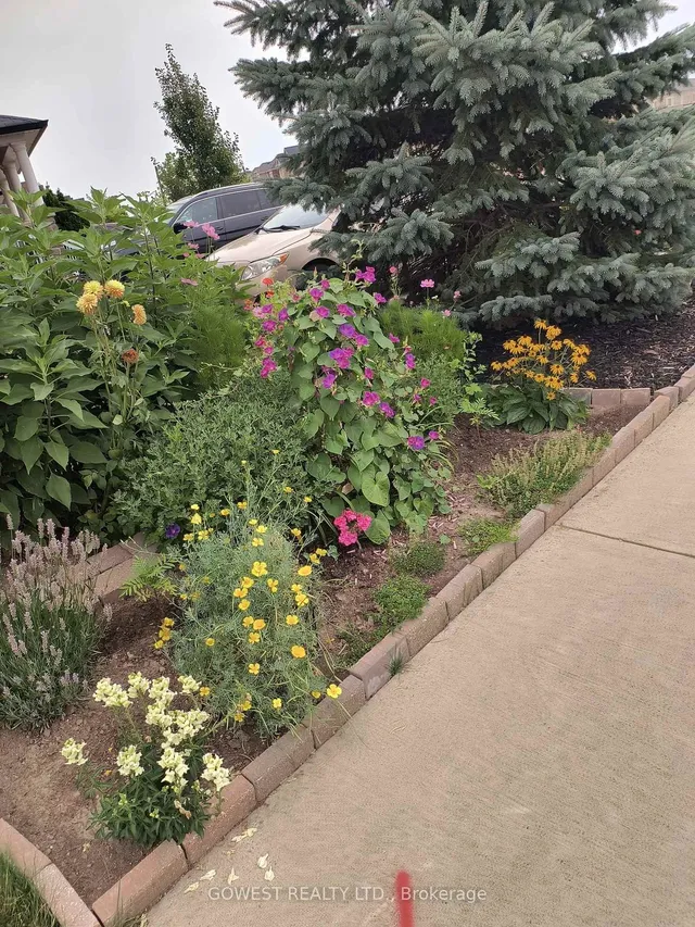 Additional image 40 of 83 Skinner Rd