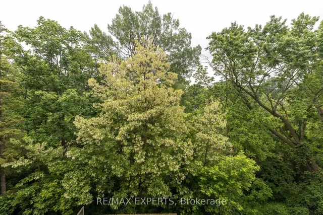 Additional image 26 of 8201 Islington Ave Unit 319