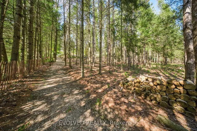 Additional image 49 of 1336 Safari Rd