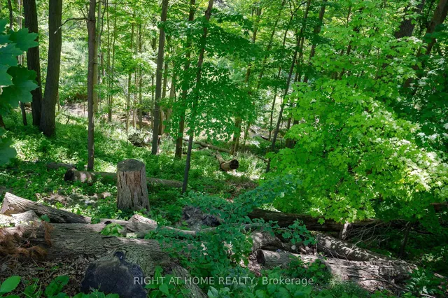 Additional image 38 of 85 Robinhood Dr