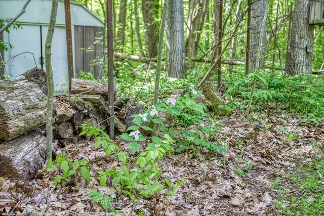 Additional image 44 of 1158 Conservation Rd