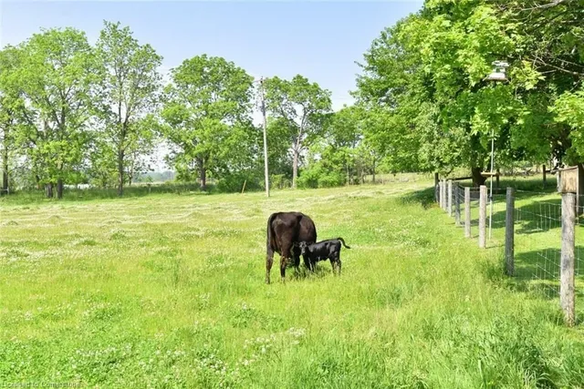 Additional image 43 of 1344 Highway 8