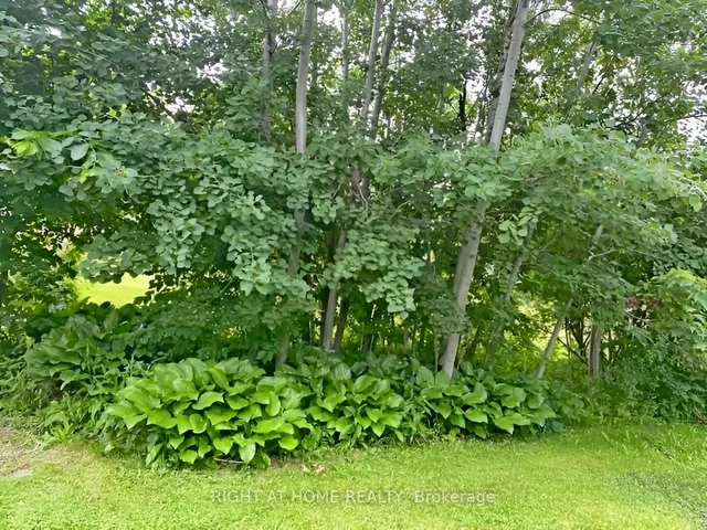 Additional image 30 of 96 Second Rd