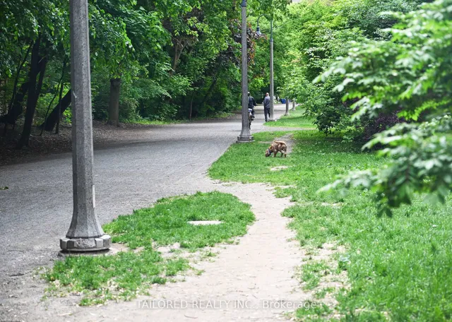 Additional image 21 of 119 Merton St Unit 211