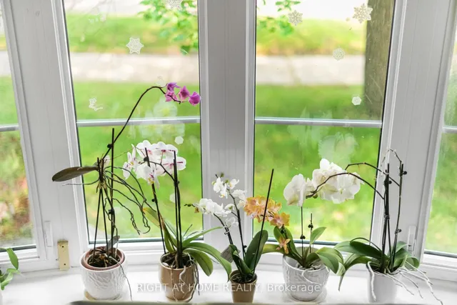 Additional image 8 of 8 Suraty Ave