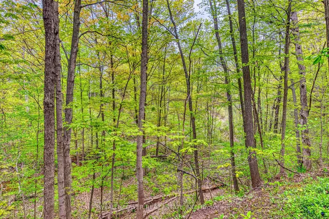 Additional image 50 of 1250 Marlborough Crt Unit 25