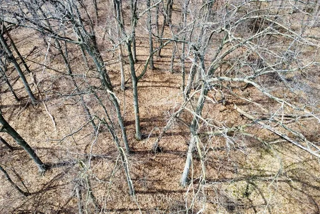 Additional image 49 of 120 Davidson Blvd