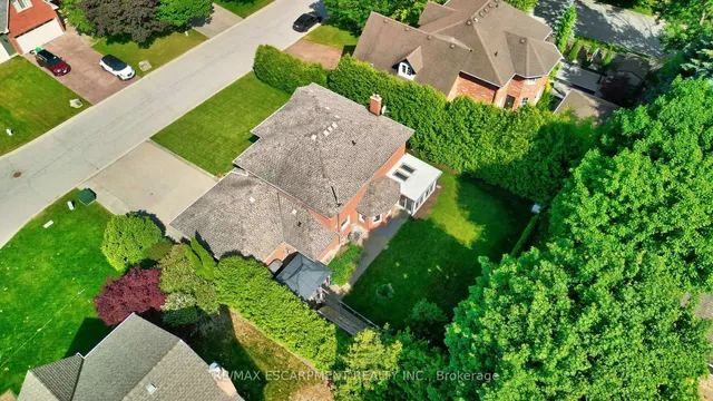 Additional image 47 of 3 Tristan Crt