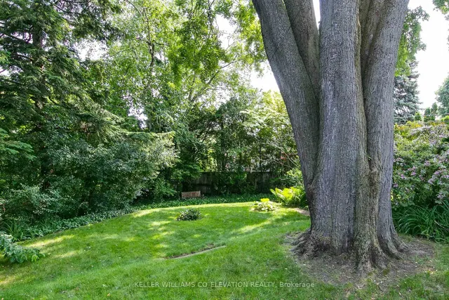 Additional image 42 of 7 Annesley Ave