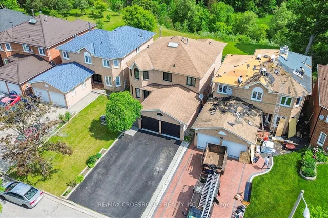 Additional image 6 of 75 Wandering Tr