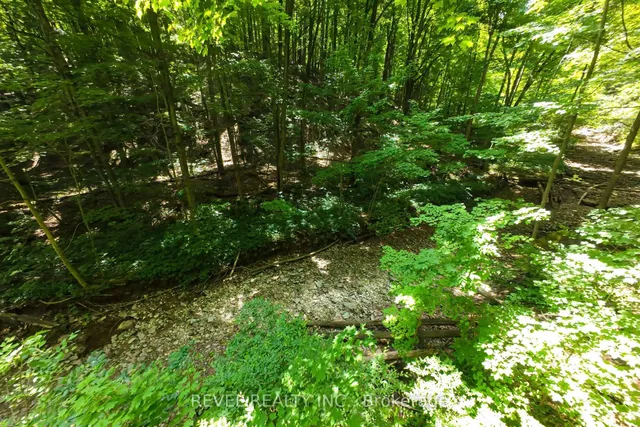 Additional image 43 of 2156 Lower Base Line