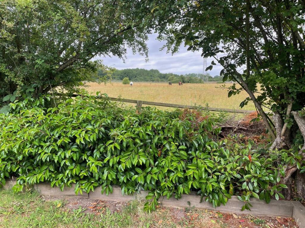 Additional image 18 of Dellsome Lane, Welham Green