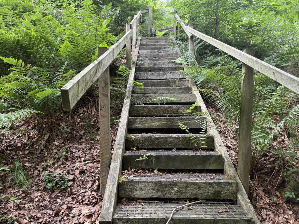 Additional image 46 of Forglen, Turriff, AB53