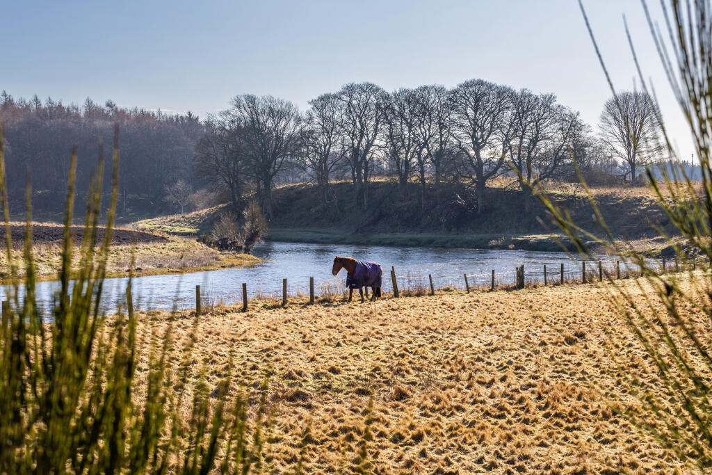 Additional image 18 of Riverview Drive, 
Dyce, 
Aberdeen, 
Aberdeen City, 
AB21 7LD