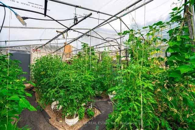 Additional image 36 of 3286 Gatliff Crt