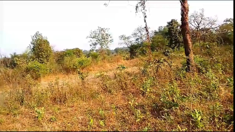 Additional image 2 of Murbad MIDC, Thane