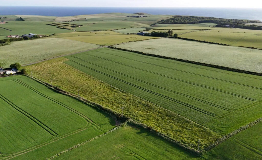 Additional image 11 of Gardenstown, Banff, AB45