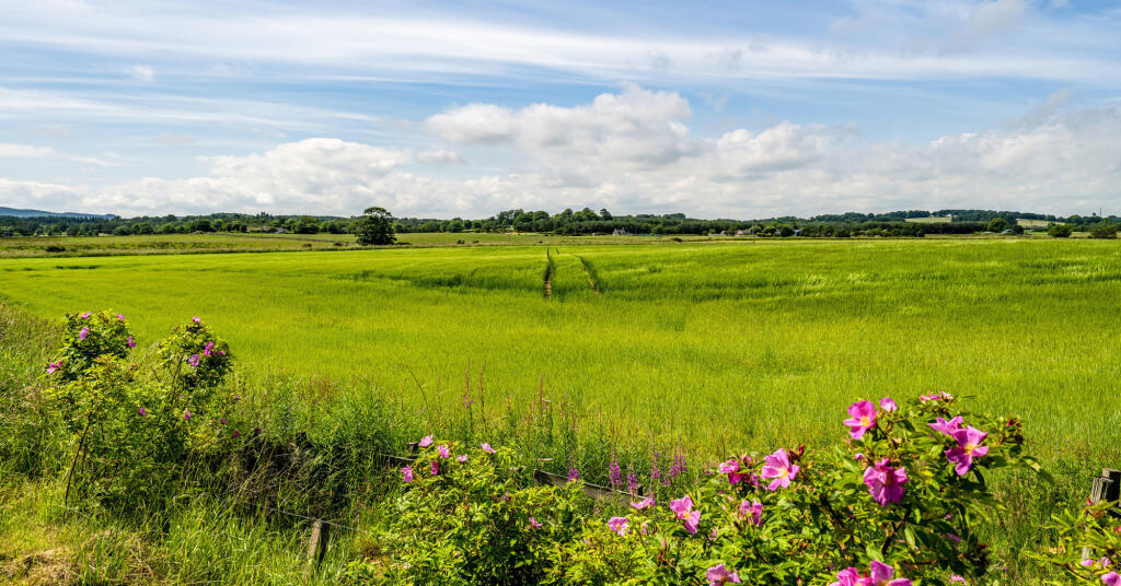 Additional image 15 of Newmarcher, Aberdeenshire, AB21