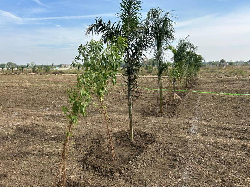 Additional image 2 of Neelbad, Bhopal