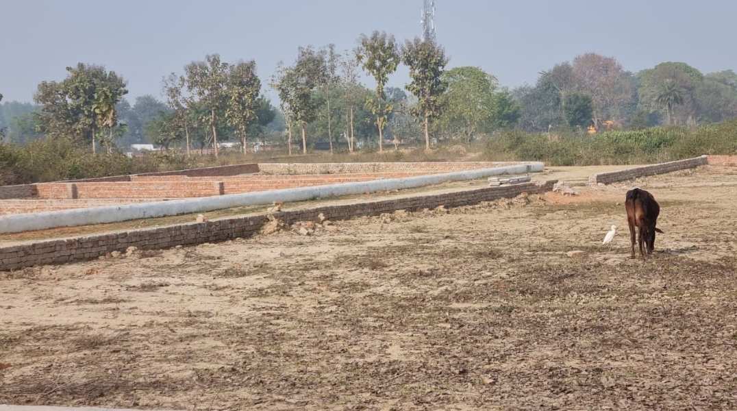 Additional image 2 of Sultanpur Road, Lucknow