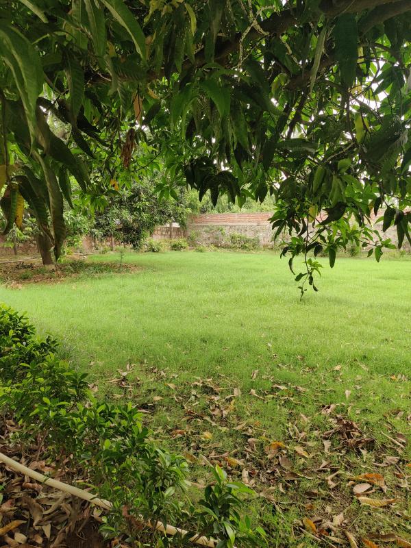 Additional image 2 of DLF Chattarpur farms, Chattarpur, Delhi