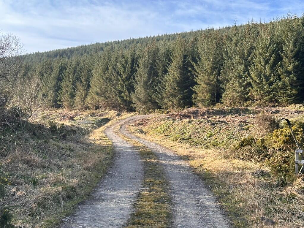 Additional image 2 of Glen of Noth Forest, Aberdeenshire AB54