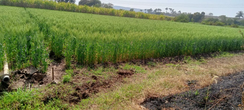 Additional image 3 of Dindori, Nashik