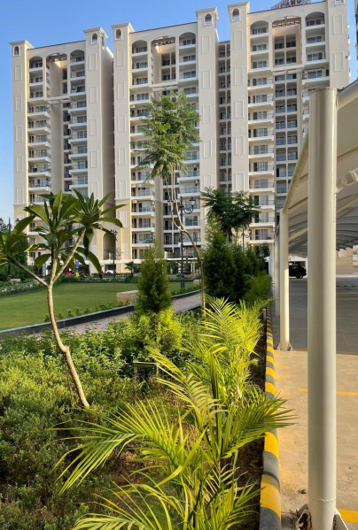 Additional image 2 of Zirakpur Road, Chandigarh