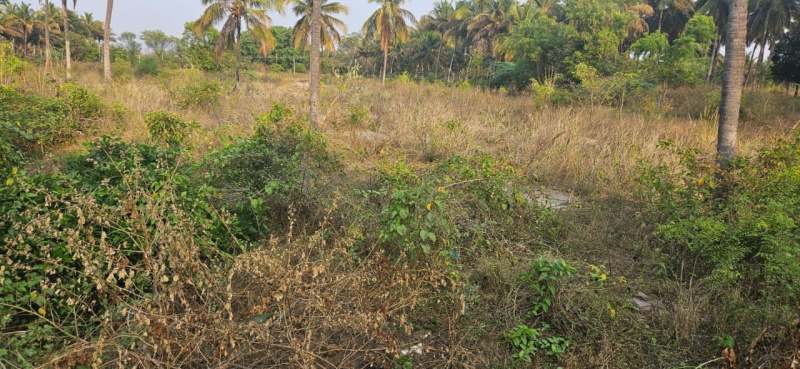 Property image for Ashoka Road, Mysore